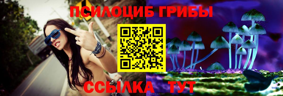 Псилоцибиновые грибы мухоморы Вязьма